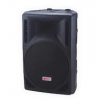 NPE FP300 ⾧ 2 Way Passive Loudspeaker 12" Full Range 600 Wpeak @ 8 OHM